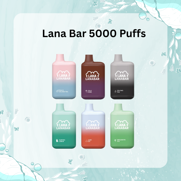 Lana Bar 5000 Puffs Disposable Vape - Rechargeable 850mAh Battery