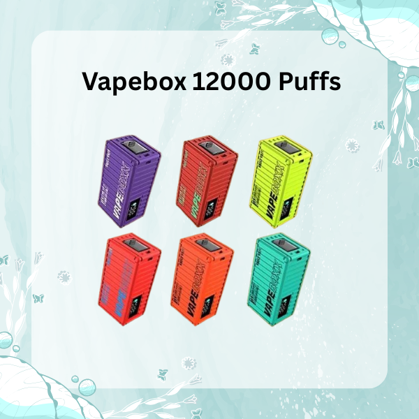 Vapebox 12000 Puffs disposable vape device with Type-C charging port and mesh coil technology