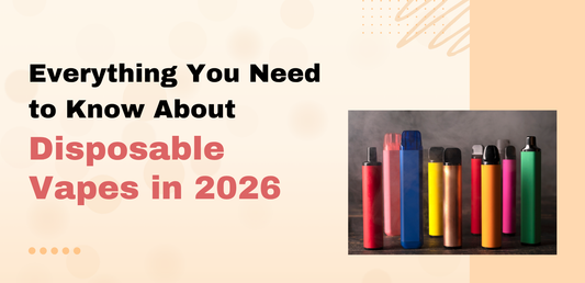 Everything You Need to Know About Disposable Vapes in 2026