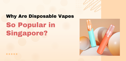 Best disposable vapes Singapore